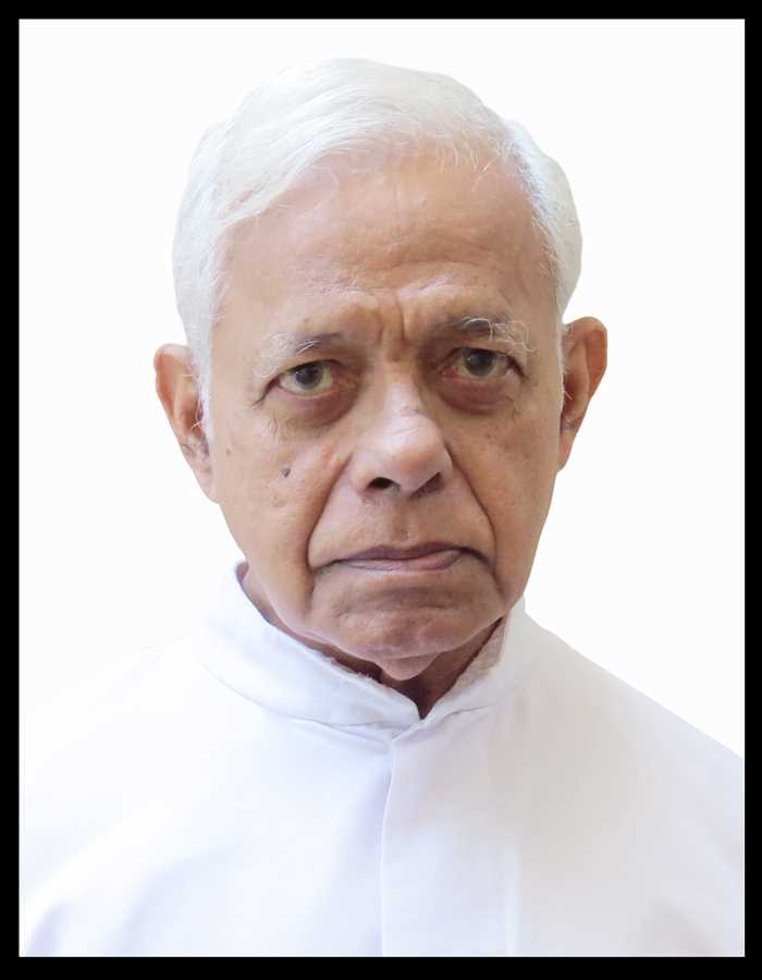 Rev. Fr. Thomas Vithayathil CMI (87)